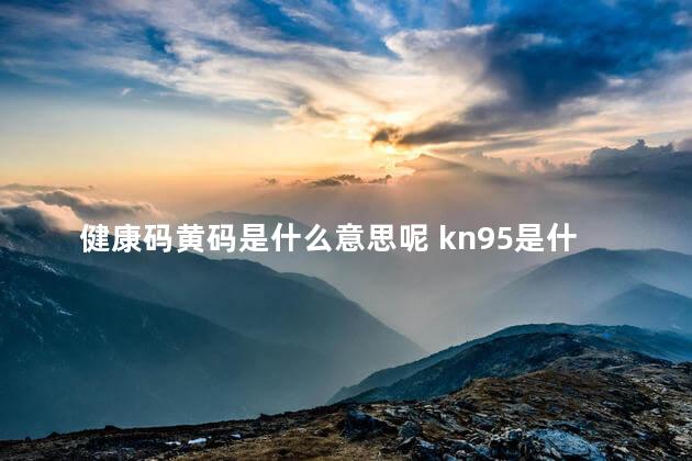 健康码黄码是什么意思呢 kn95是什么口罩